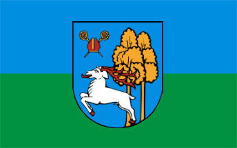 [Elk city flag]
