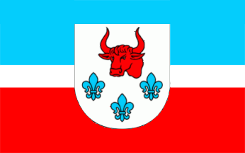 [Turek rural district flag]
