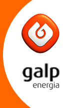 Galp flag