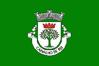 [Carvalho de Rei commune (until 2013) CoA]