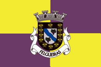 1986-1994 Felgueiras municipality