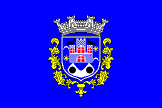 [Penacova municipality blue flag 1998]