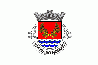 [Oliveira do Mondego commune (until 2013)]