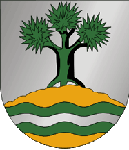 [Porto Santo municipality CoA]