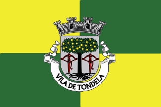 [Tondela(town) municipality]
