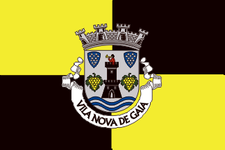 [Vila Nova de Gaia municipality (1986-1994)]