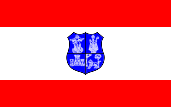 Asuncion City flag