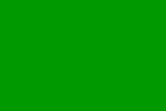 [Green rainbow flag]