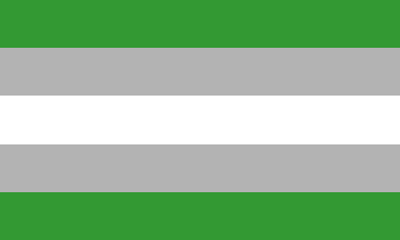 [Gray-Aromantic flag]