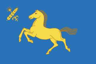 Flag of Duvansky District 