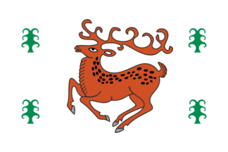 Flag of Zilairsky District