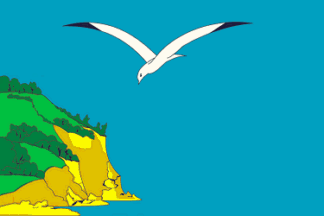 Kamsko-Ustinsky rayon flag