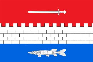 Novosheshminsky rayon flag