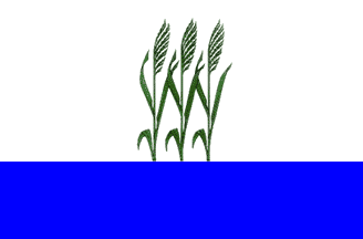 Kamyshin city flag