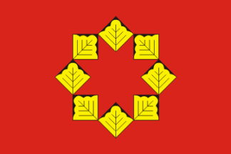 Flag of Shakulovskoe