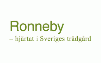 [Flag of Ronneby]