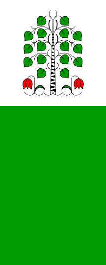 [Vertical flag of Brezovica]