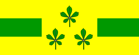 [Flag of Tisina]