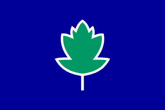 [Flag of Kobilje]
