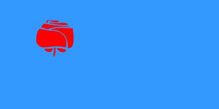[Flag of Nova Gorica]