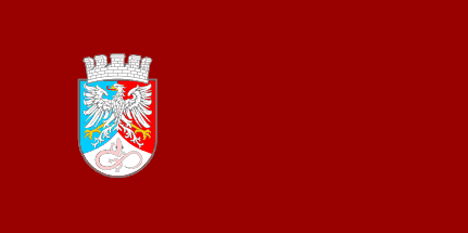 [Flag of Postojna]