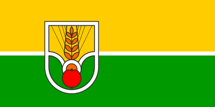 [Flag of Puconci]