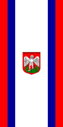 [Flag of Radlje ob Dravi]