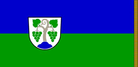 [Flag of Vipava]