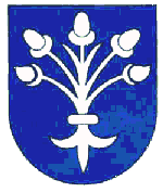 Dubnica nad Váhom Coat of Arms