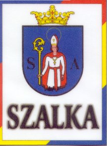 [Salka Banner of Arms]