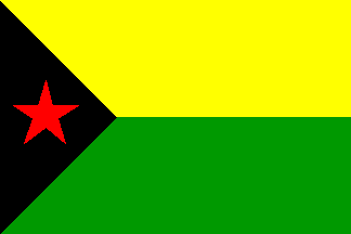 Flag proposal #4