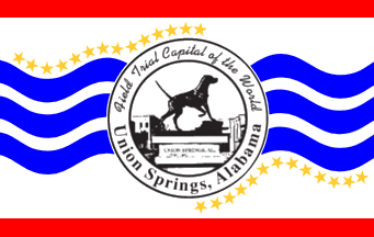 [Union Springs flag, Alabama]