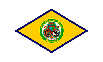 [flag of Dover, Delaware]
