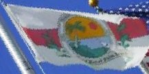 [Flag of Royal Palm Beach, Florida]