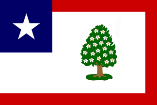 [Standard for the 1st Mississippi Cavalry]