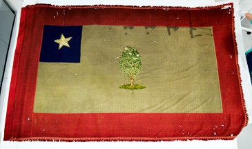 [Mississippi Flag captured by the 2nd Iowa Cavalry]
