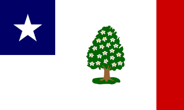 [Standard for the 3rd Regiment, Mississippi Volunteers]