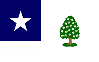 [Flag found in Mississippi's old capitol building]