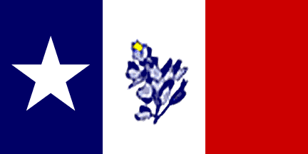[Flag of Navasota, Texas]
