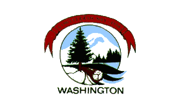 [Flag of Cowlitz County, Washington]