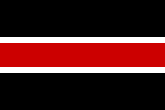 [variant flag of D.C. United team]