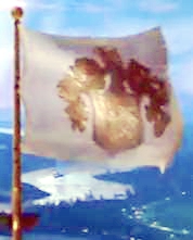 [Disney Castle flag]