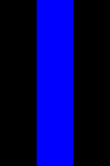 [Thin Blue Line vertical flag]