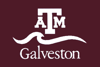 [Flag of Texas A&M University Galveston]