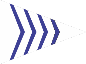 [Flag of Shark River Yacht Club, New Jersey]
