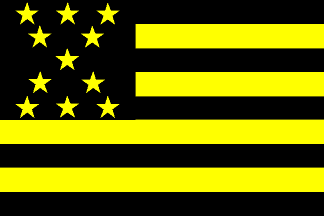 [Peñarol club flag variant]