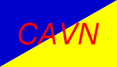 [House flag of C.A. Venezolana de Navegación]