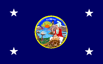 California governor's flag