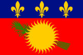 [unofficial flag]