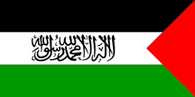 Palestinian political flag